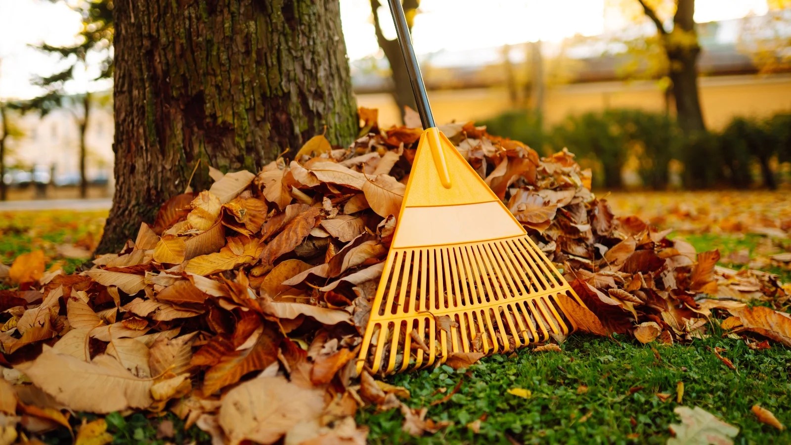 Octobre au jardin : pourquoi les bons jardiniers ne font plus le grand ménage